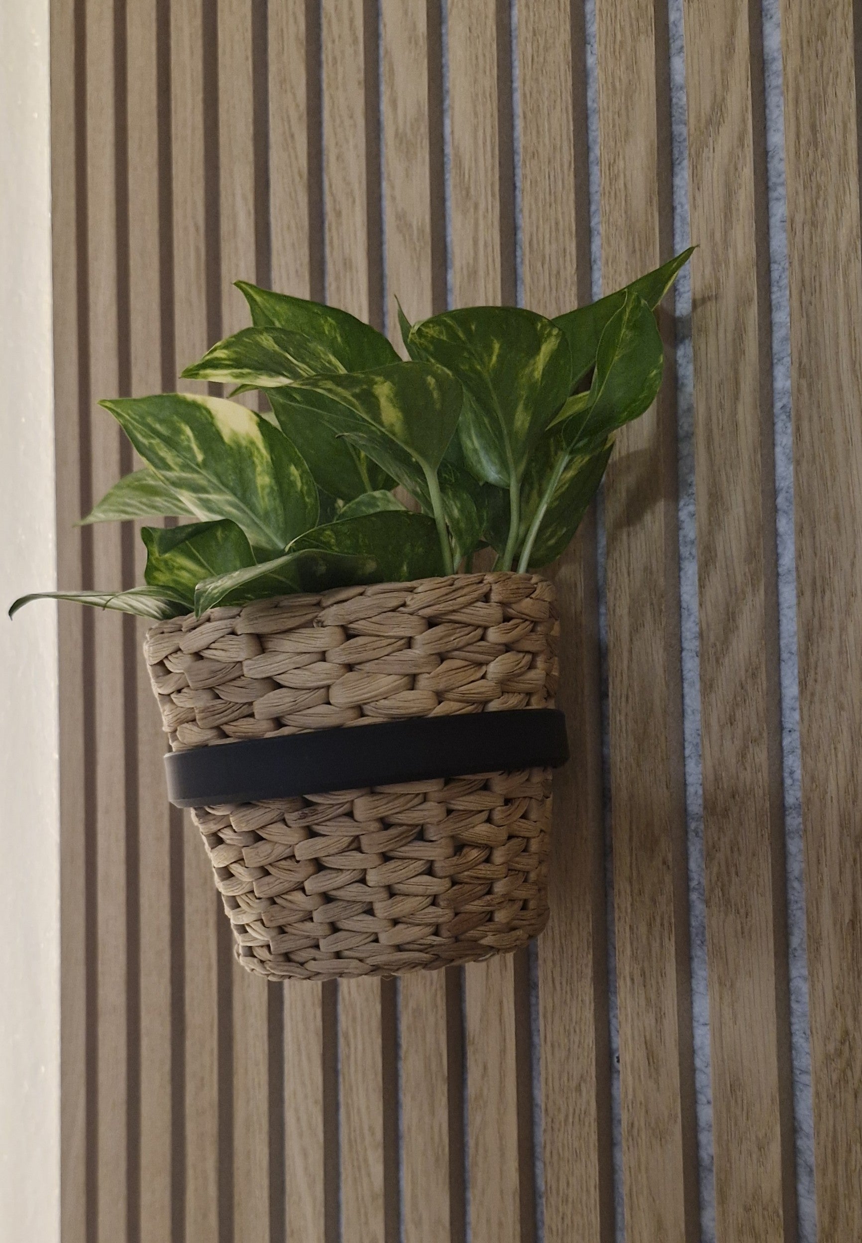 Plantenhouder/ring voor akoestische panelen - Installatietype: Schroef-in