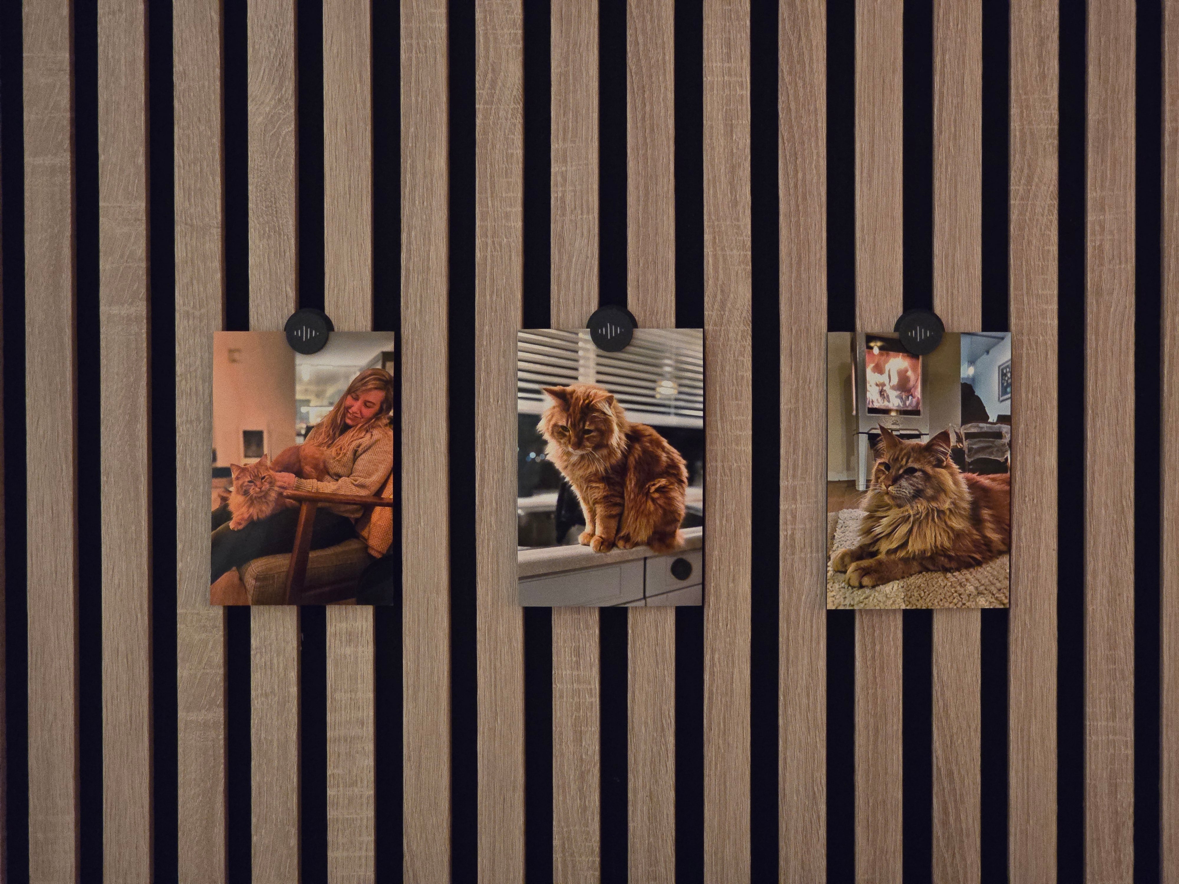 Magnet Clip for acoustic panels - 4 Pack - Installation Type: Wall Clip
