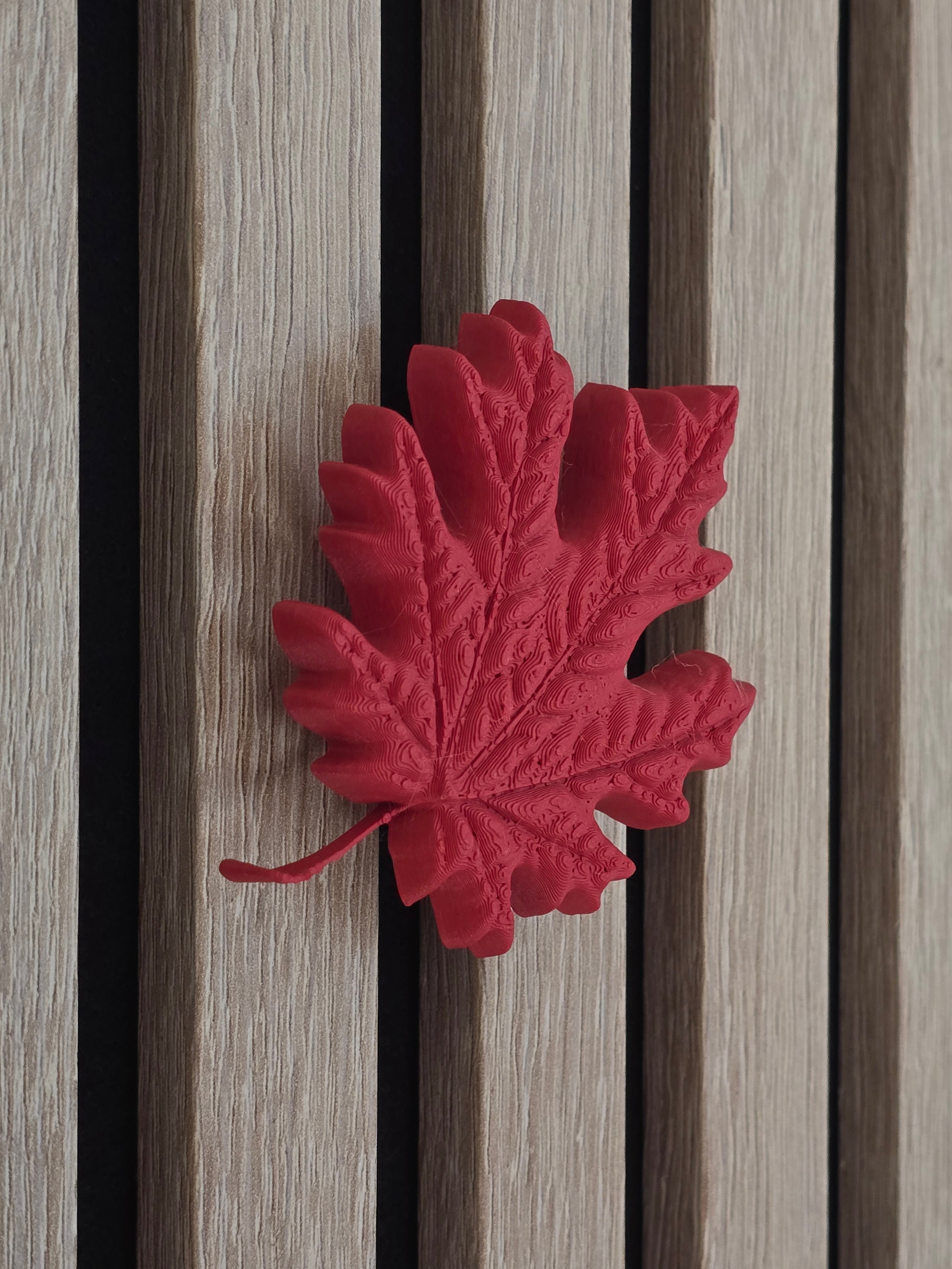 Autumn decoration for Acoustic Panels - Installation type: Wall Clip