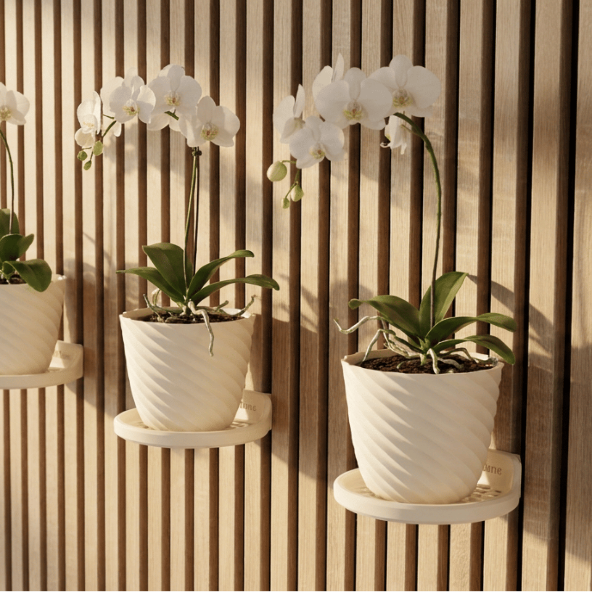 Round Tray/Shelf - Installation: Wall Clip