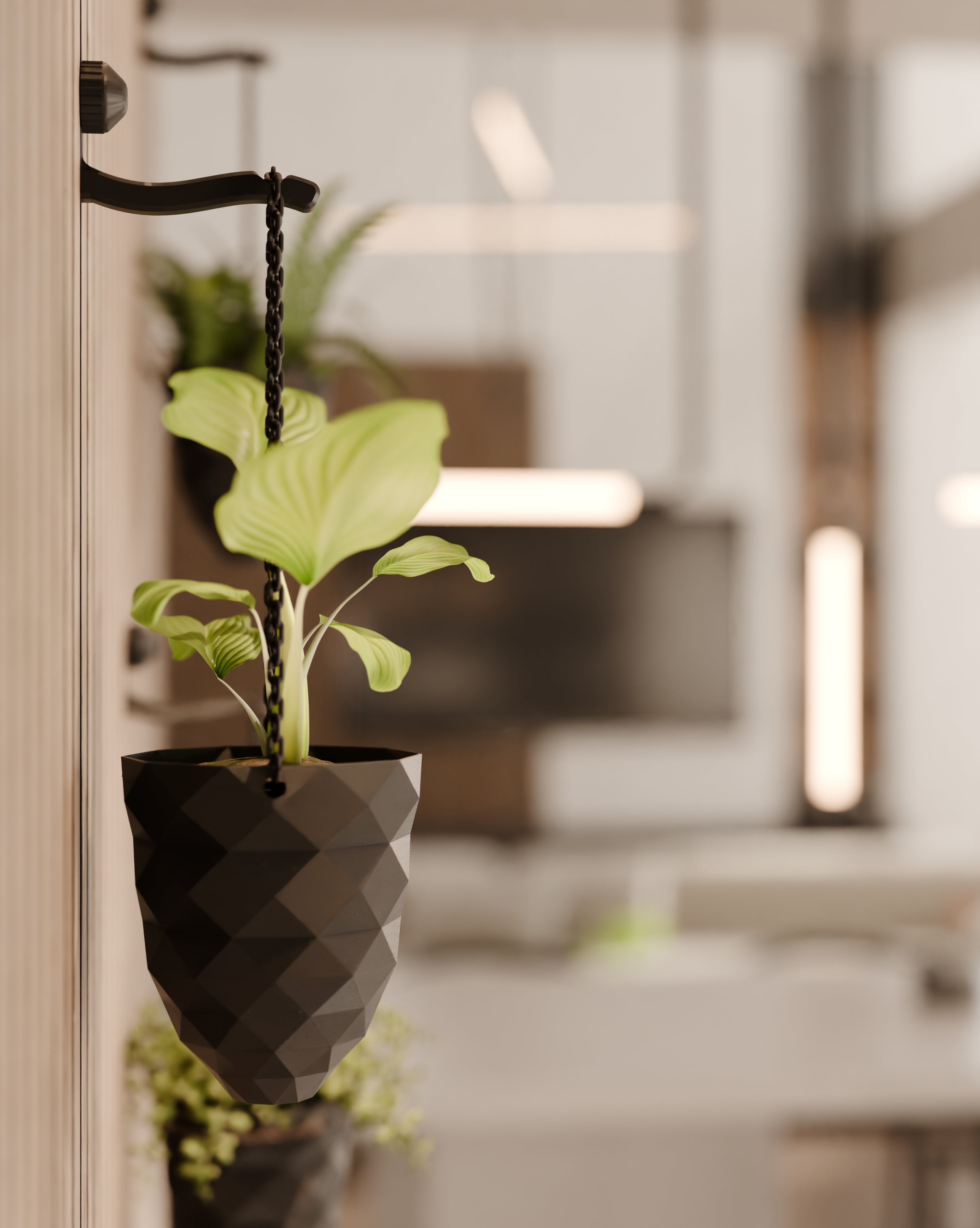 Hanging plant vase for acoustic panels - Installation Type: Wall Clip