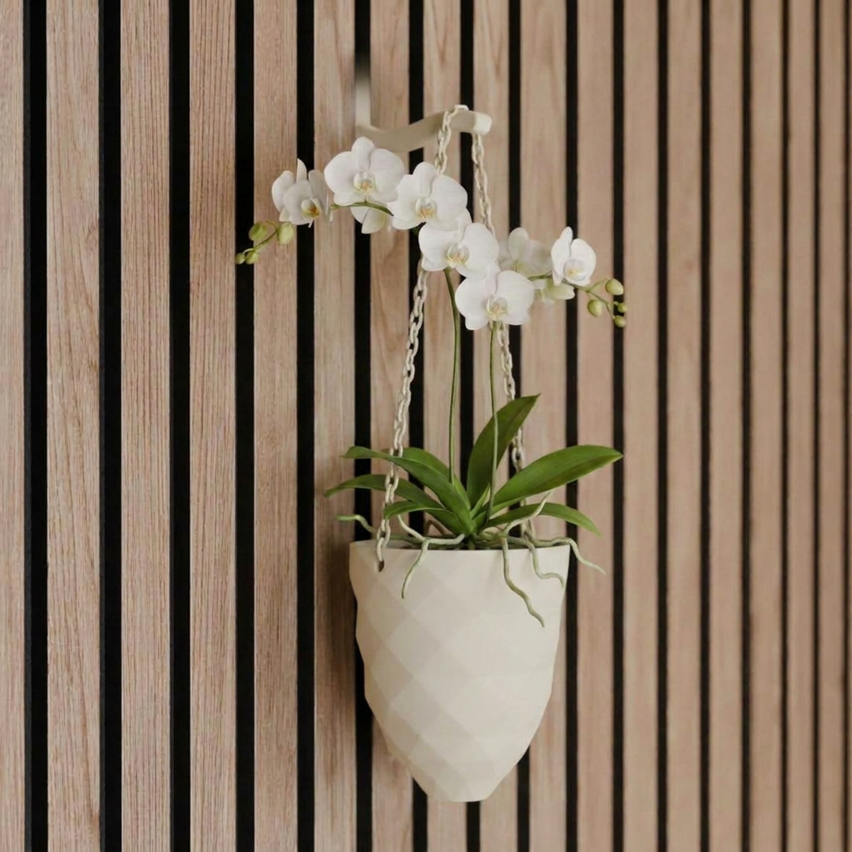 Hangende plantenvaas - Installatie: Muurclip