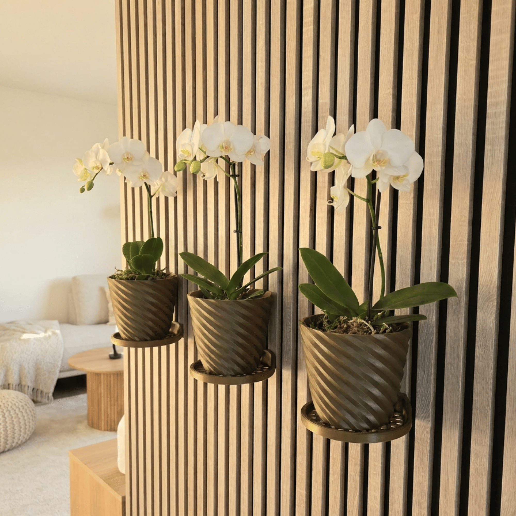Round Tray/Shelf - Installation: Wall Clip