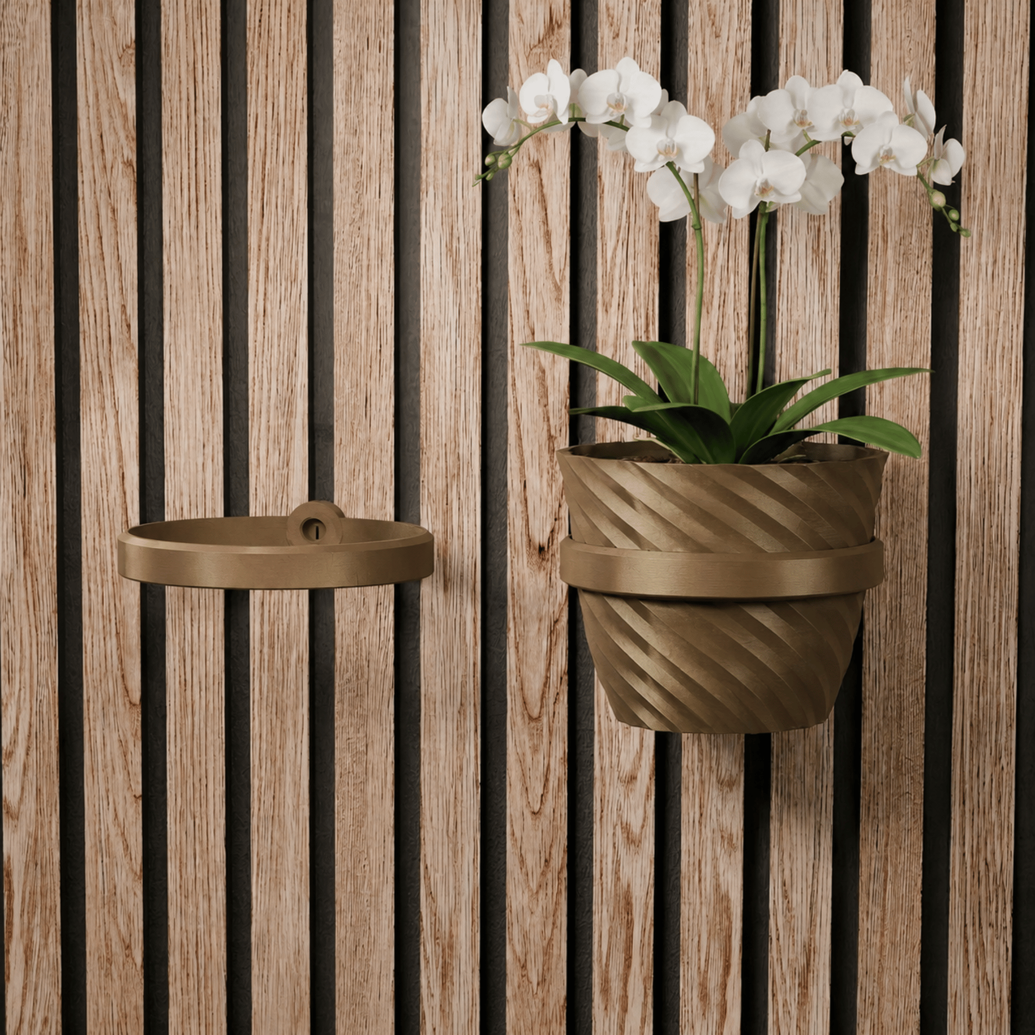 Plant Holder/Ring - Installation: Wall Clip