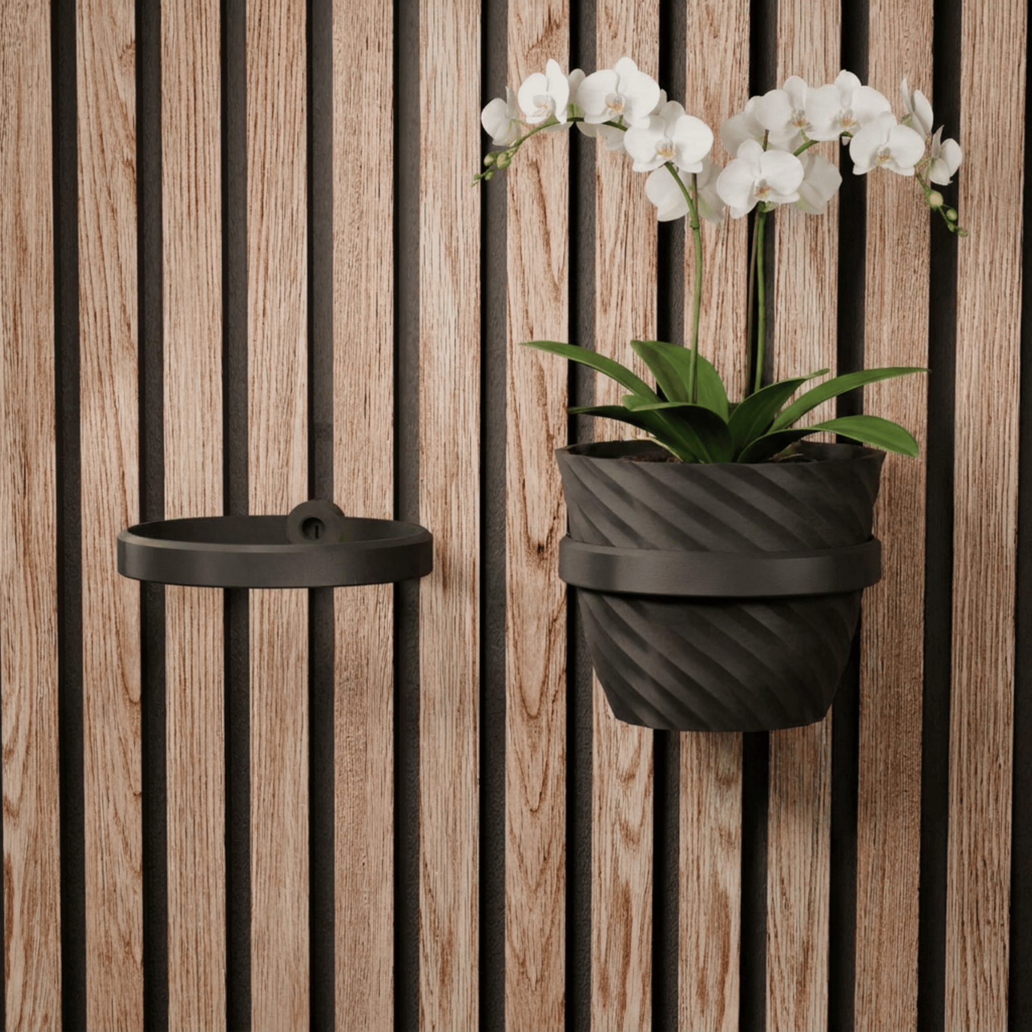 Plant Holder/Ring - Installation: Wall Clip