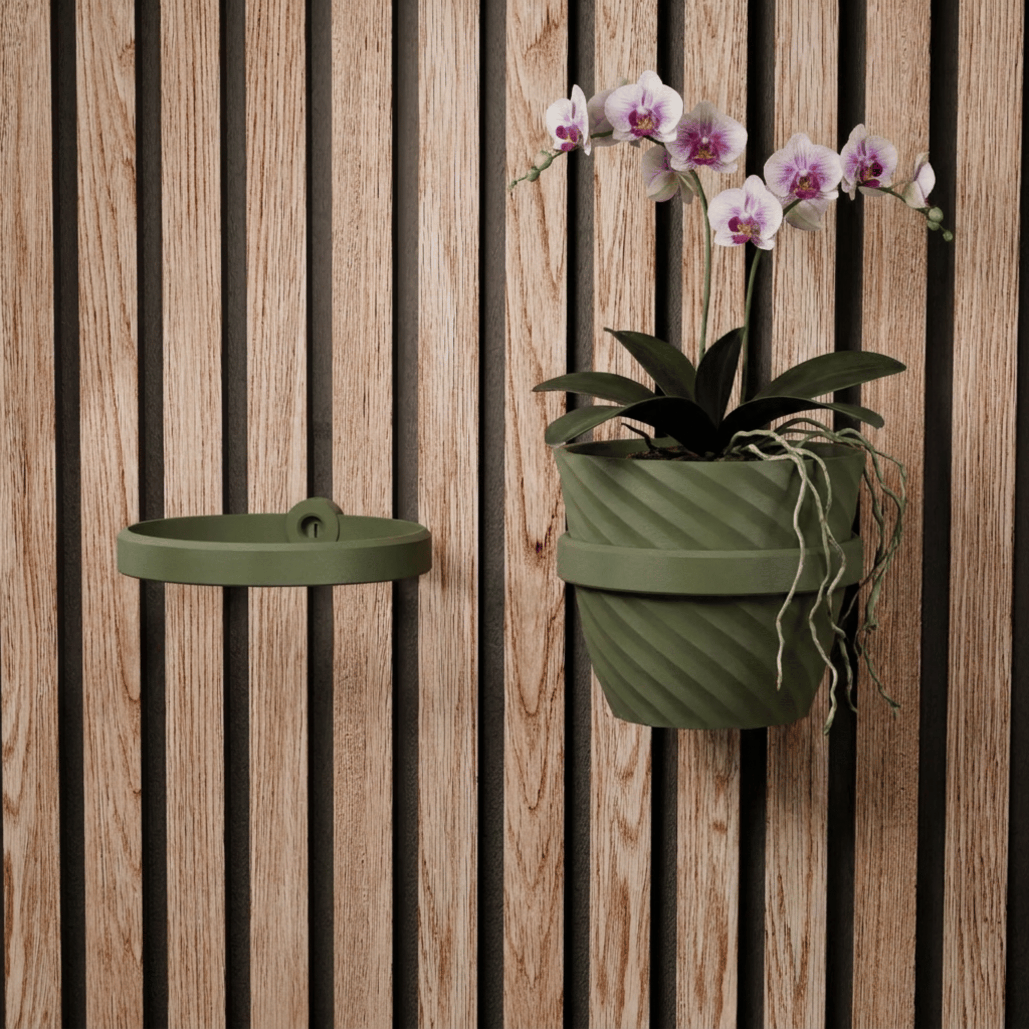 Plant Holder/Ring - Installation: Wall Clip